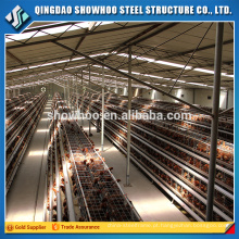 Layer Chicken Shed Indian Poultry Farm